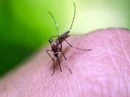 La ONU también alertó que el número de mujeres embarazadas con malaria aumentó un 55% en todo país y que se han notificado casos "en casi todos los estados".