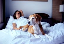 De acuerdo con el experto, introducir a un animal a un esquema que no es parte de su esencia "afecta su perspectiva y es incapaz de procrear".