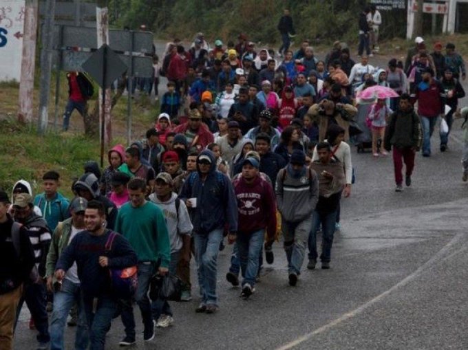 La falta de representación ha impactado una gran cantidad de casos de migrantes incluidos en MPP. Ganar una solicitud de asilo se ha vuelto casi imposible, resalta la jurista.
