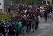 La falta de representación ha impactado una gran cantidad de casos de migrantes incluidos en MPP. Ganar una solicitud de asilo se ha vuelto casi imposible, resalta la jurista.