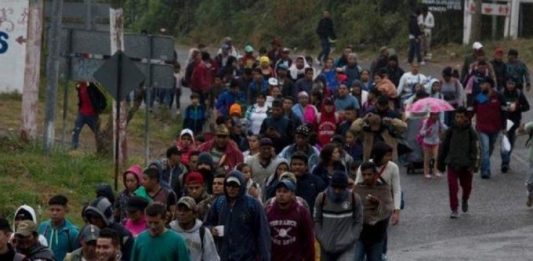 La falta de representación ha impactado una gran cantidad de casos de migrantes incluidos en MPP. Ganar una solicitud de asilo se ha vuelto casi imposible, resalta la jurista.