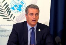 La OMC cumple 25 años envuelta en una crisis de pronóstico reservado La Organización Mundial del Comercio cumple hoy 25 años, un aniversario al que llega casi paralizada por una crisis de difícil pronóstico y de la que Estados Unidos es el principal responsable.