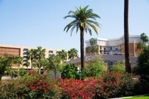 La Fundación Bob & Renee Parsons aportó un fondo de 937.000 dólares por los siguientes tres años a la Fundación de la Universidad Estatal de Arizona para dar 35 becas a estudiantes "soñadores"