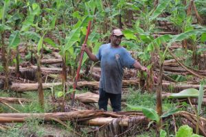 H&eacute;ctor Cordero, inform&oacute; este martes que el Departamento de Agricultura federal enviar&aacute; a la isla asistencia adicional para ayudar a los agricultores locales afectados por los terremotos.