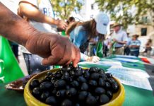 El Tribunal Internacional de Comercio de EE.UU. ha contradicho la decisión del Departamento de Comercio de este país de imponer aranceles del 35 % a las importaciones de aceituna negra de mesa de España