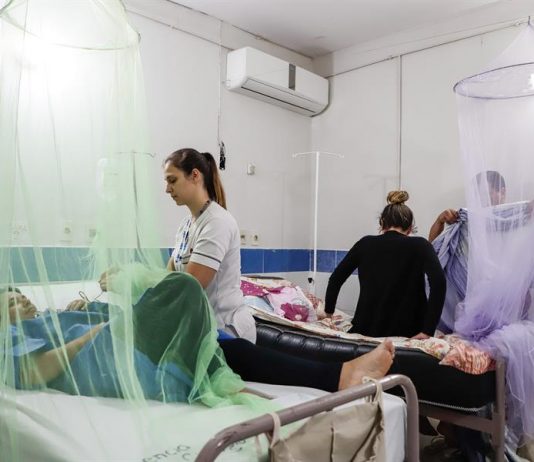 Honduras puede afrontar este año una epidemia de dengue "más grande" que la de 2019