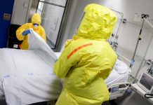 Brasil registró por primera vez en 20 años una muerte por fiebre hemorrágica, la cual habría sido causada por un nuevo virus detectado en el país suramericano