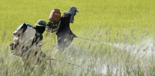 Una coalición de siete fiscales generales liderada por el de California urgió este jueves al Gobierno federal a retirar una norma propuesta por la Agencia de Protección Ambiental que eliminaría protecciones ante el uso de pesticidas.