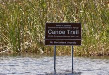 El relajo de las normas de protección del agua anunciado por la Administración del presidente Donald Trump conllevan amenazas ambientales para las comunidades latinas, afroamericanas y más pobres