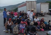 Las autoridades mexicanas detuvieron a dos vehículos de carga en los que viajaban hacinados un total de 292 migrantes centroamericanos