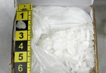 Protección Fronteriza incautó de 81 libras de metanfetamina (36,74 kilogramos).
