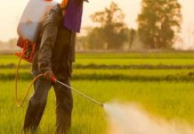 Asfixia y noches sin dormir: así lo pasan víctimas del pesticida clorpirifós Corteva Agriscience, uno de los mayores fabricantes mundiales de clorpirifós, anunció que, por "decisión estratégica de negocios", suspenderá la producción de este compuesto.