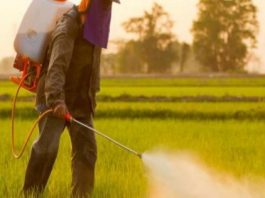 Corteva Agriscience, uno de los mayores fabricantes mundiales de clorpirifós, anunció que, por "decisión estratégica de negocios", suspenderá la producción de este compuesto.