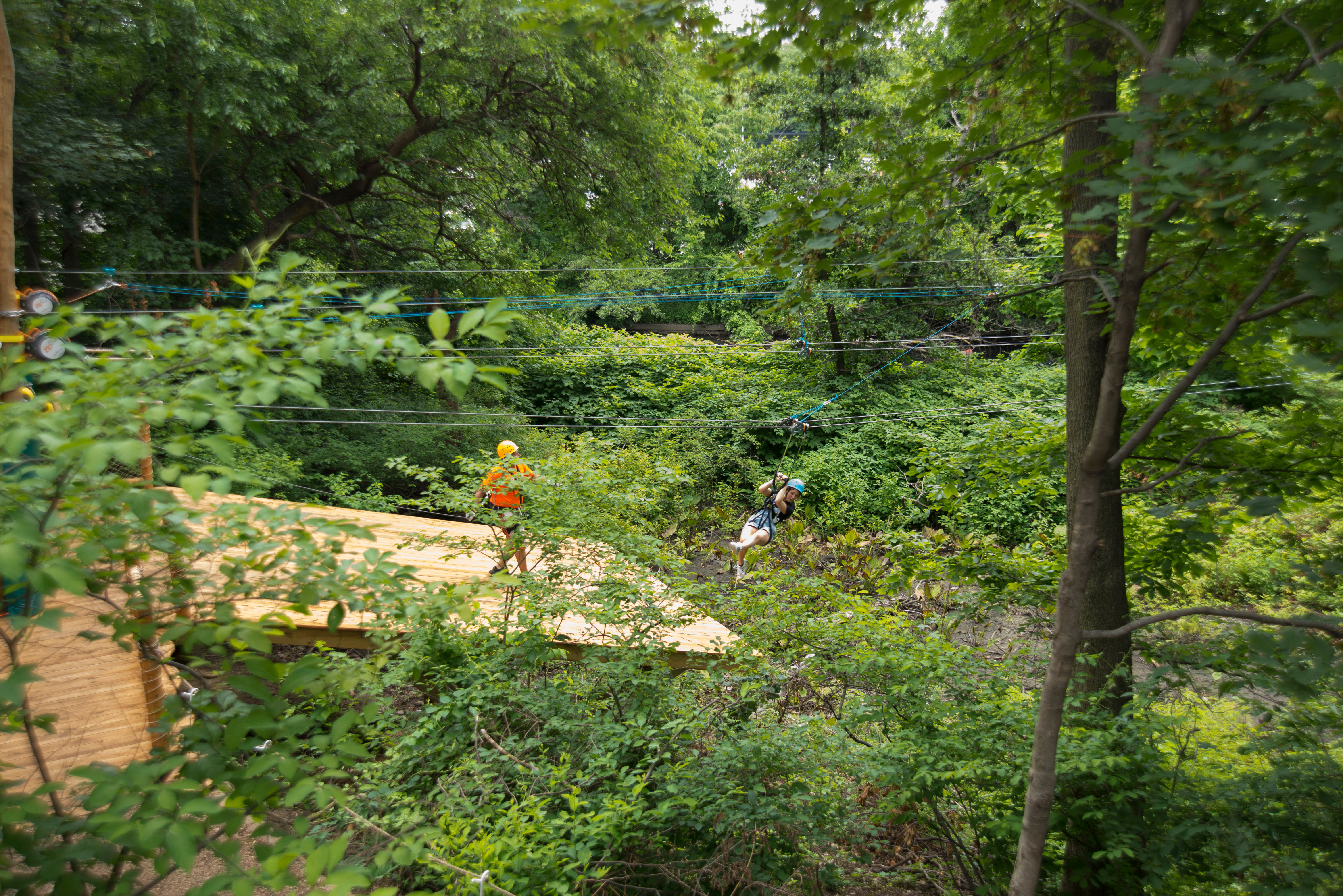 Bronx Zoo Zipline, Fordham, Bronx