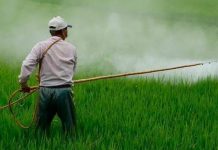 Corteva deja de vender pesticida vinculado a problemas de salud en campesinos Esta decisión fue recibida con alegría por campesinos y grupos ambientalistas que desde hace años han denunciado de los efectos nocivos sobre la salud humana de este plaguicida.