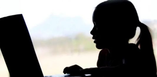 "El 45 % de los padres hispanos nunca ha recibido instrucción acerca de la seguridad en línea", añadió el informe.