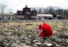 La escuela esperaba colectar un (1) paper clip por cada victima de los seis millones de judíos y otras victimas inocentes asesinadas por los Alemanes Nazis durante el Holocausto.