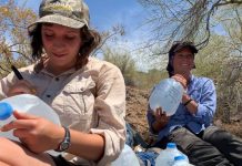 En los últimos años, voluntarios de No Más Muertes han encontrado docenas de cuerpos de migrantes indocumentados que han muerto en esta región de la frontera de Arizona.