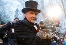 La marmota Phil predice que la primavera llegará pronto a Estados Unidos La marmota Phil, el animal "meteorólogo" más famoso del mundo, salió este domingo de su guarida en Punxsutawney y no vio su sombra