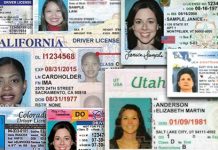 Legisladora de Massachusetts: un gran paso adelante hacia las licencias Al menos 15 de los 50 estados han aprobado leyes que permiten que los migrantes que no tienen documentos para su residencia legal tengan licencias para conducir.