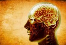 Negros e hispanos de ascendencia caribeña con más riesgo de infarto cerebral Los resultados mostraron que, comparados con los blancos no hispanos, los negros tuvieron un riesgo 50 % mayor de infarto, incluso después de ajustar por factores sociodemográficos, incluyendo educación y seguros.