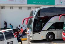 En el análisis del caso, Monterrey Chepov estimó que el INM "no cumplió con el procedimiento de búsqueda establecido en la Ley Federal de Transparencia.