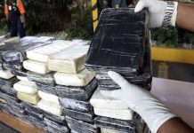 Fiscalía vincula al cartel de Sinaloa con venta de cocaína en Nueva York Las autoridades de Panamá decomisaron en el 2019 un total de 90,99 toneladas de drogas, una nueva cifra récord para este país