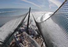 La organización ecologista Sea Shepherd denunció este domingo un ataque a tiros contra su barco en la zona de protección de la vaquita marina, en el Alto Golfo de California