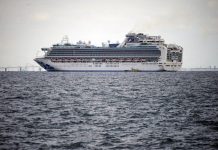 Suspenden crucero de Princess con 299 pasajeros con gastroenteritis La multinacional de cruceros Princess se vio obligada este lunes a suspender uno de sus buques por el Caribe debido a un brote de gastroenteritis