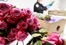 La oficina de Aduanas y Protección Fronteriza alertó este martes a los viajeros que ingresan por tierra al país sobre las restricciones existentes para los arreglos florales hechos en México