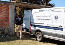Suman 24 cadáveres hallados en una fosa clandestina en el oeste mexicano La Fiscalía del occidental estado mexicano de Michoacán precisó este jueves que la cifra de cadáveres encontrados dentro de una fosa subió en las últimas horas de 10 a 24 cuerpos.