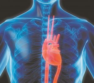 La nutrigen&eacute;tica podr&iacute;a ser una herramienta eficaz que ayude a prevenir Enfermedades No Transmisibles como las enfermedades del coraz&oacute;n, la diabetes y el c&aacute;ncer