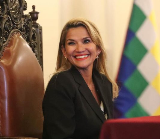 El pronunciamiento de un magistrado cuestionando el aval constitucional que apoyó a Jeanine Áñez cuando asumió el poder de forma interina en Bolivia