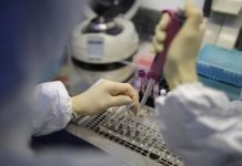 La Universidad de Texas en Austin y el Instituto Nacional de Salud de Estados Unidos crearon el primer mapa 3D anatómico a escala de la parte del coronavirus responsable de infectar a células humanas