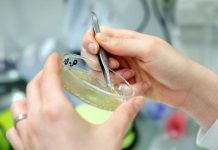 La farmacéutica Moderna Inc. envió el primer lote de su vacuna contra el coronavirus rápidamente desarrollada y experimental a investigadores del Gobierno de Estados Unidos