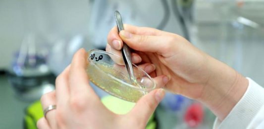 La farmacéutica Moderna Inc. envió el primer lote de su vacuna contra el coronavirus rápidamente desarrollada y experimental a investigadores del Gobierno de Estados Unidos