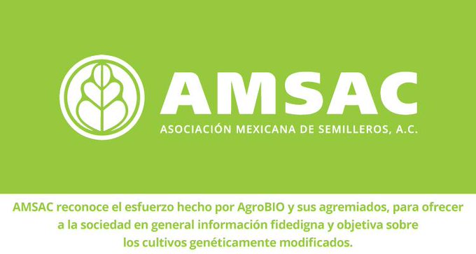 La AMSAC, seg&uacute;n su director ejecutivo, representa alrededor del 85 % del abasto de semillas mejoradas en M&eacute;xico.