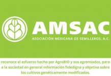 La AMSAC, según su director ejecutivo, representa alrededor del 85 % del abasto de semillas mejoradas en México.
