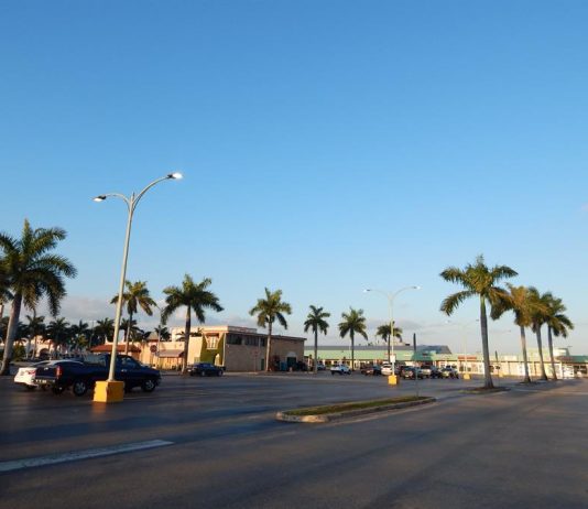 Los casos de COVID-19 en Florida se acercan a los 2.800 y las muertes subieron a 35 este viernes, cuando comenzará a regir a partir de esta noche el toque de queda en la ciudad de Miami.