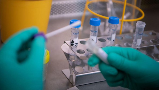 Ninguno de los dos nuevos casos ha viajado a zonas de riesgo ni tiene vínculos con otros individuos diagnosticados con el virus en Nueva York.
