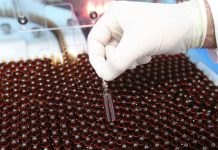 Los científicos del Centro Oncológico Kimmel de Johns Hopkins desarrollaron una forma para detectar el cáncer de próstata de manera no invasiva a través de la orina.