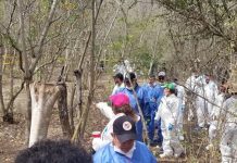Las autoridades del estado mexicano de Tamaulipas informaron este jueves del hallazgo de restos humanos en cuatro fosas clandestinas en Reynosa, en la frontera con Estados Unidos.