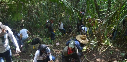 El comisionado de Nayarit precisó que los terrenos fueron encontrados gracias “a una denuncia anónima” que recibieron colectivos de familias con parientes desaparecidos.
