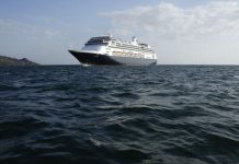Florida pone condiciones para el atraque del crucero con 200 enfermos Si el plan solicitado a Holland America Line es presentado y aprobado, el Zaandam podría llegar a Port Everglades en la tarde del 1 de abril o la mañana del 2, según el comunicado.