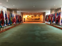 La ONU limita presencia de empleados en su sede de Nueva York por pandemia Según el portavoz, el objetivo es reducir el número de personas en el complejo de Naciones Unidas con el fin de minimizar riesgos y, al mismo tiempo, que la organización pueda seguir desarrollando sus tareas.