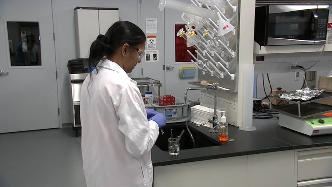 "Los estudios clínicos y preclínicos sugieren que las vacunas basadas en gp96 de Heat pueden usarse para atacar COVID-19", subrayó la Facultad de Medicina Miller.