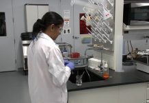 La Universidad de Miami busca parar el coronavirus con éxito de otras vacunas "Los estudios clínicos y preclínicos sugieren que las vacunas basadas en gp96 de Heat pueden usarse para atacar COVID-19", subrayó la Facultad de Medicina Miller.