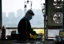 Llaman a indocumentados a buscar ayuda médica durante emergencia por COVID-19 El temor por la propagación del COVID-19 ha llevado a varios estados y condados a declarar el estado de emergencia para liberar recursos y atender la emergencia sanitaria.