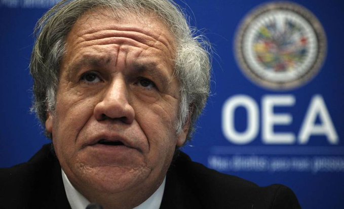 Luis Almagro, ganó las elecciones, en las que se enfrentaba a la excanciller ecuatoriana María Fernanda Espinosa, y seguirá al frente del organismo durante cinco años más.