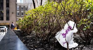 El estado de Nueva York se ha convertido este domingo en el tercero de EE.UU. en poner en marcha la prohibición del uso de bolsas de plástico